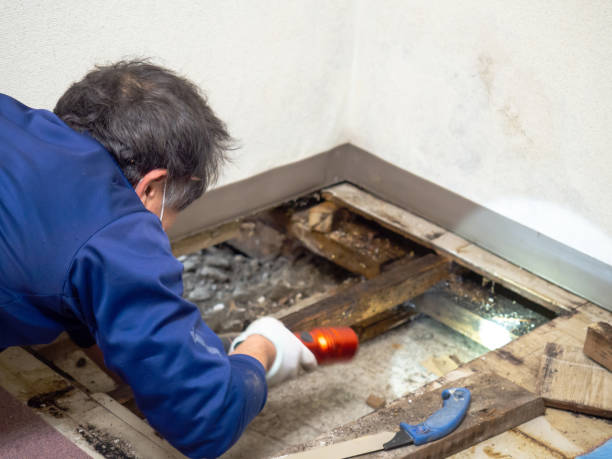 Best Crawl Space Mold Remediation in Kings Bay Base, GA