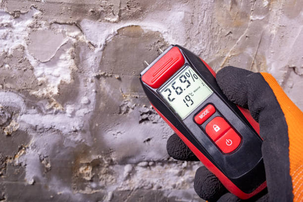 Best Health and Safety Mold Remediation in Kings Bay Base, GA