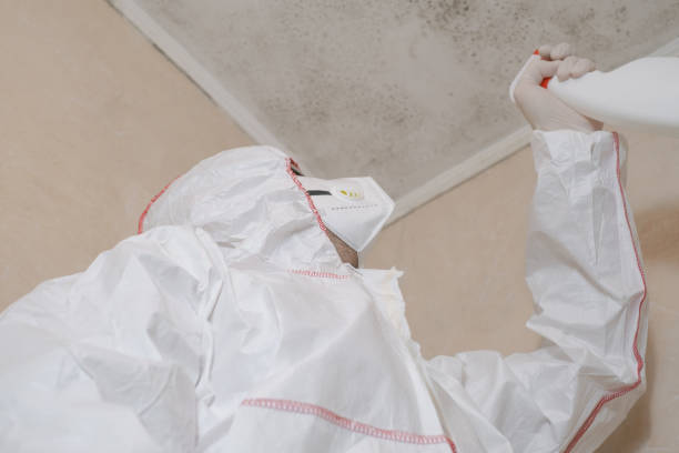 Best DIY Mold Remediation Support Services in Kings Bay Base, GA