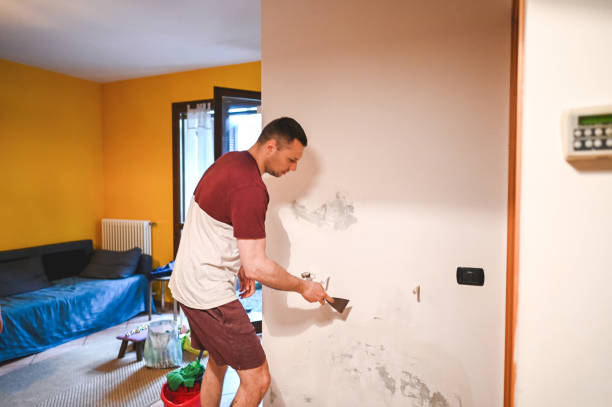 Best Black Mold Remediation in Kings Bay Base, GA