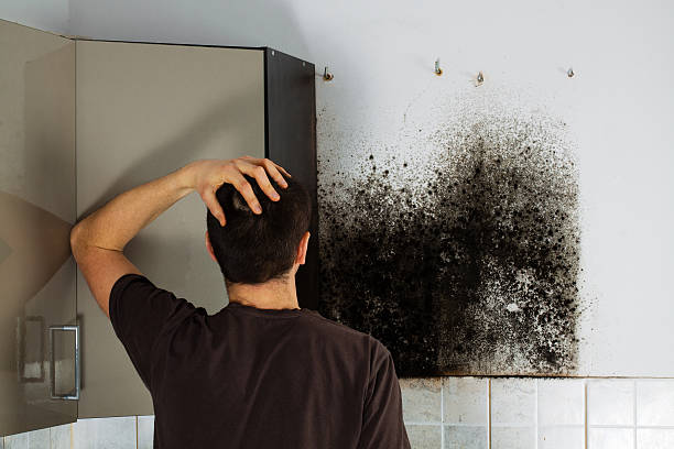 Best Emergency Mold Remediation in Kings Bay Base, GA