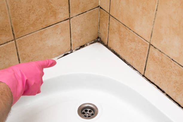 Kings Bay Base, GA Mold Remediation Company